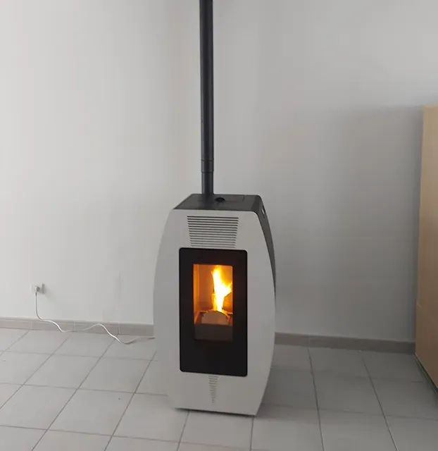 poele a bois et granules (3)